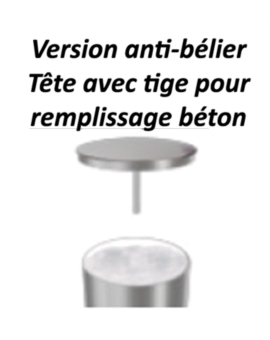 BORNE INOX CIMA TB Ø. 114MM H. 750MM AMOVIBLE