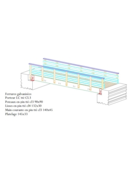 PASSERELLE DROITE L. 3000MM