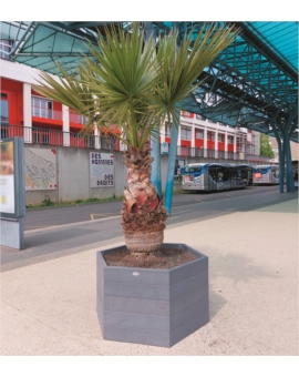 JARDINIERE RECYCLEE SIENNE HEXAGONALE H.550MM GRIS