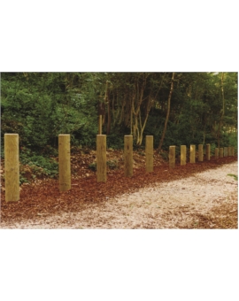 PARCOURS SANTE ADULTE - SAUTE MOUTON