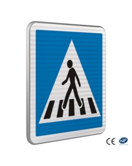 PANNEAU CLIGNOTANT RENFORCE PERFORMANCE - C20a