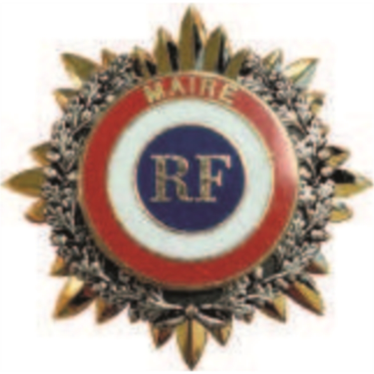 BROCHES DISTINCTION Ø. 40 MM