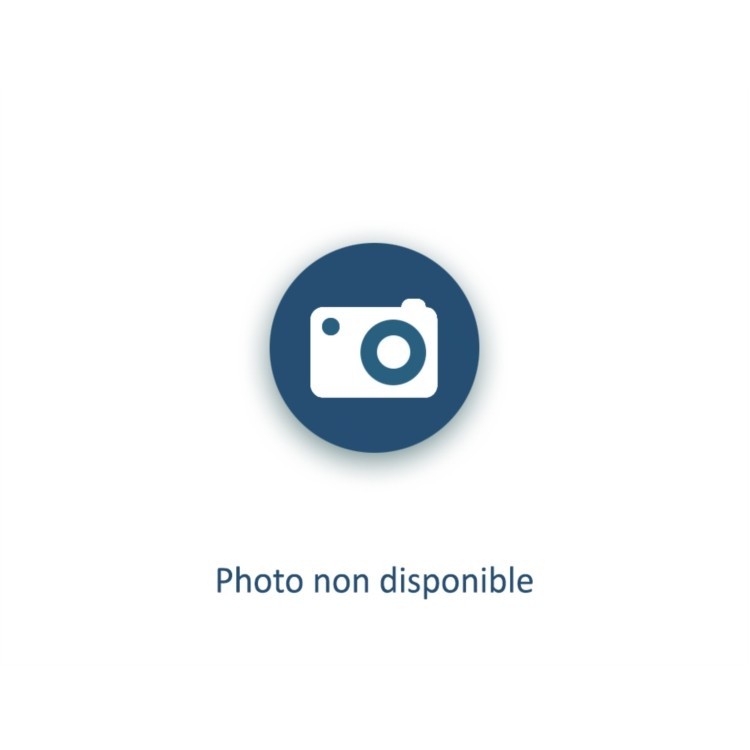 BARRIERE CARREFOUR ECOLE - BI-COLORE GRIS PROCITY RAL 1021-JAUNE