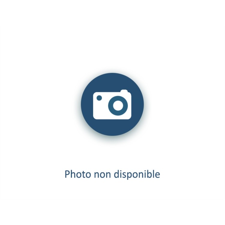 LOT DE 2 PLATINES POUR BARRIERE SCHOLA L.1000 A L.2000MM - RAL 9010